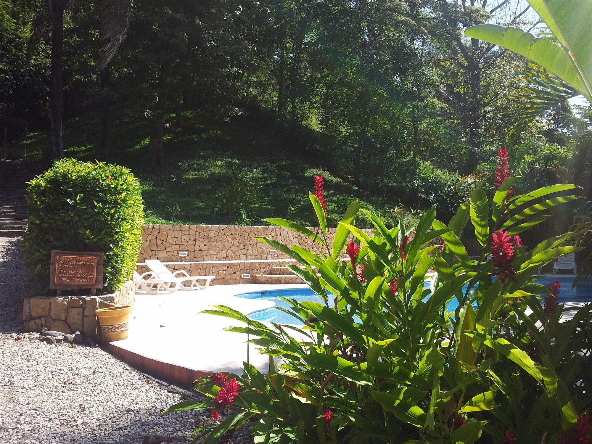 Esencia Hotel And Villas Playa Santa Teresa  Εξωτερικό φωτογραφία